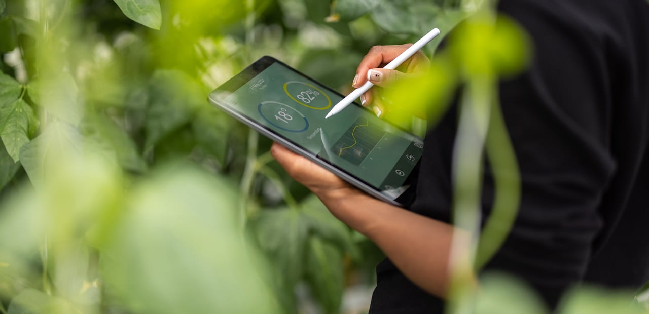 Businessperson holds a tablet and stylus pen. There are leaves and greenery in the foreground and background.